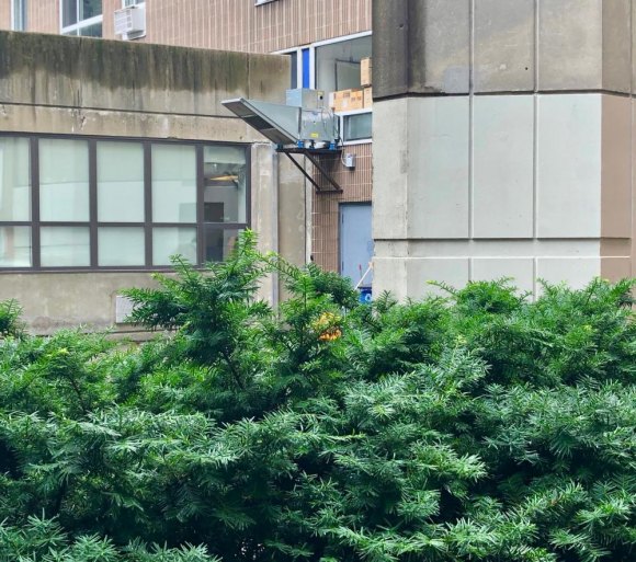 A Shocking Discovery Behind Liukoushui Hot Pot Restaurant Back entrance view is obscured by the building and landscaping.